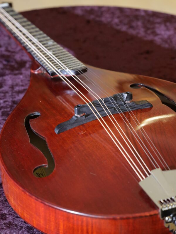 eastman md505cc tv mandolin (7)