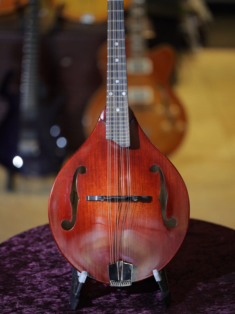 Eastman MD-305 マンドリン Antique Red Eastman MD305 A-Style Mandolin | Reverb Canada