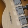 fender telecaster american standard 2016 (13)