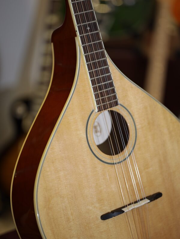 trinity college tm 375 irish bouzouki (4)