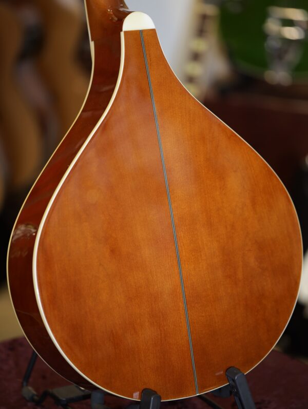 trinity college tm 375 irish bouzouki (6)