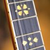 barnes mullins troubadour banjo (2)