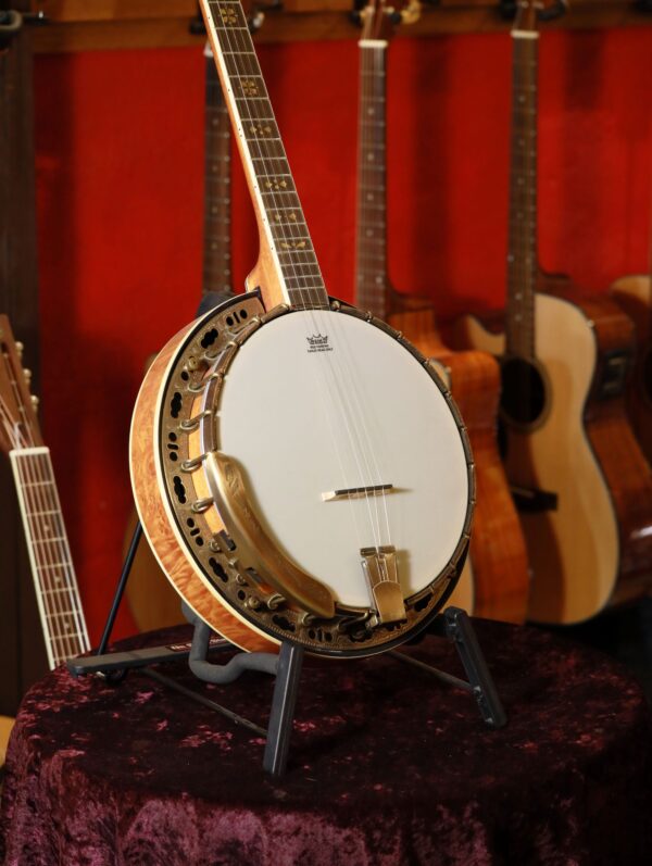 barnes mullins troubadour banjo