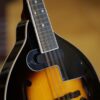 rover rm50e electric mandolin (1)