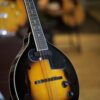 rover rm50e electric mandolin