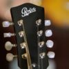 rover rm50e electric mandolin (2)