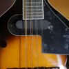 rover rm50e electric mandolin (3)