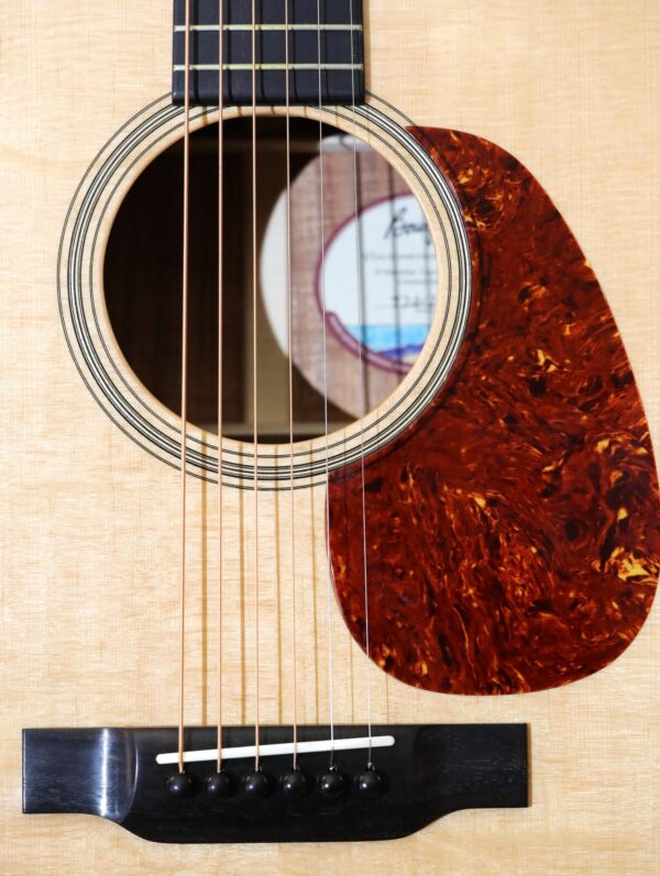 bourgeois hawaiian country boy ts guitar (7)