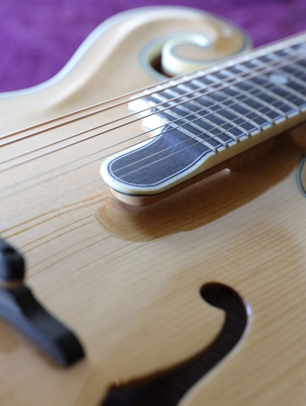 bourgeois m5 f model mandolin (2)