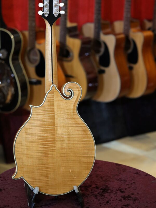 bourgeois m5 f model mandolin (4)
