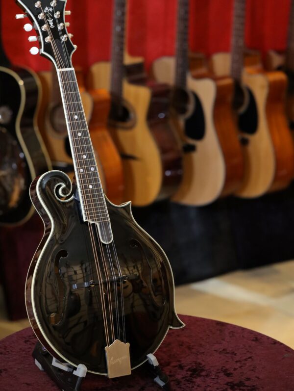bourgeois m5 f model mandolin (5)