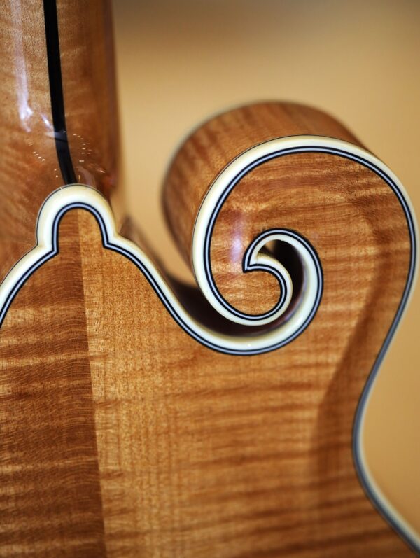bourgeois m5 f model mandolin (6)