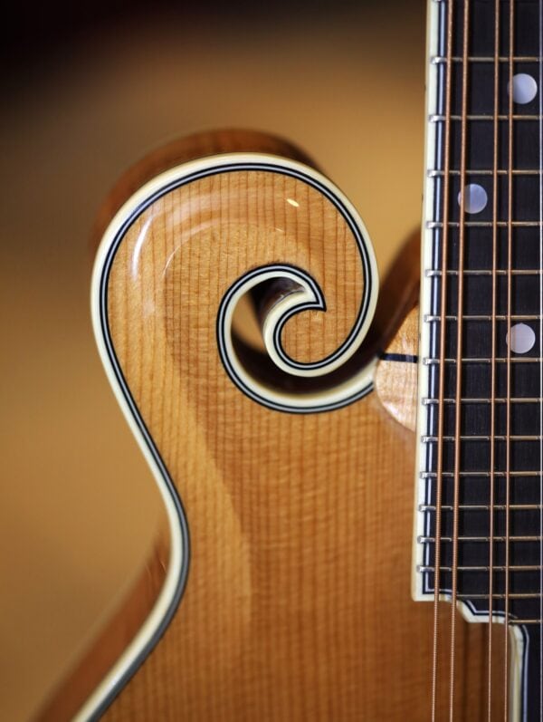 bourgeois m5 f model mandolin (7)