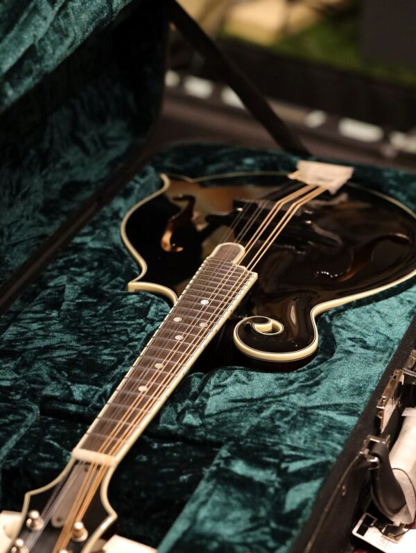 bourgeois m5 f model mandolin (8)