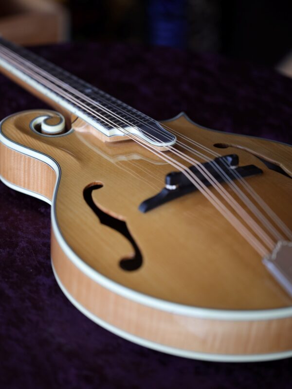 bourgeois m5 f model mandolin (9)