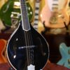bourgeois touchstone series m5 a mandolin (15)