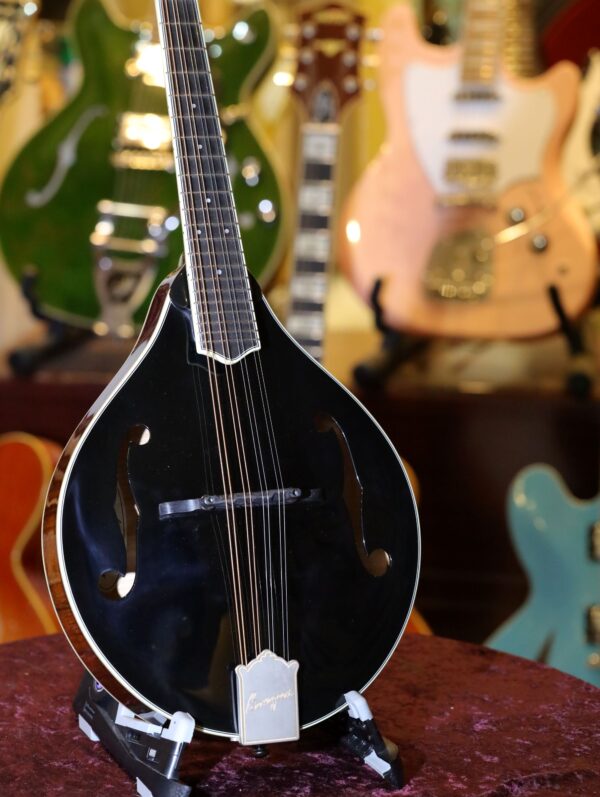 bourgeois touchstone series m5 a mandolin (15)