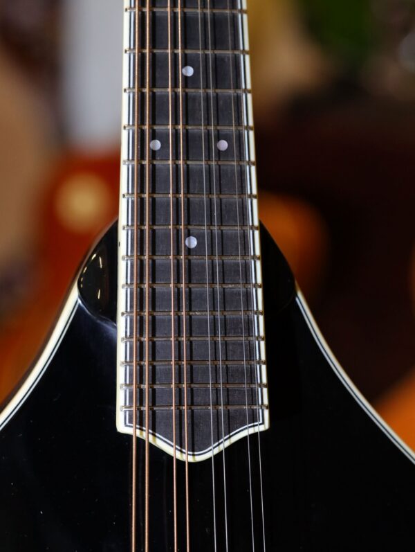 bourgeois touchstone series m5 a mandolin (17)