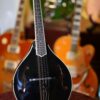 bourgeois touchstone series m5 a mandolin (18)