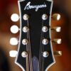 bourgeois touchstone series m5 a mandolin (20)