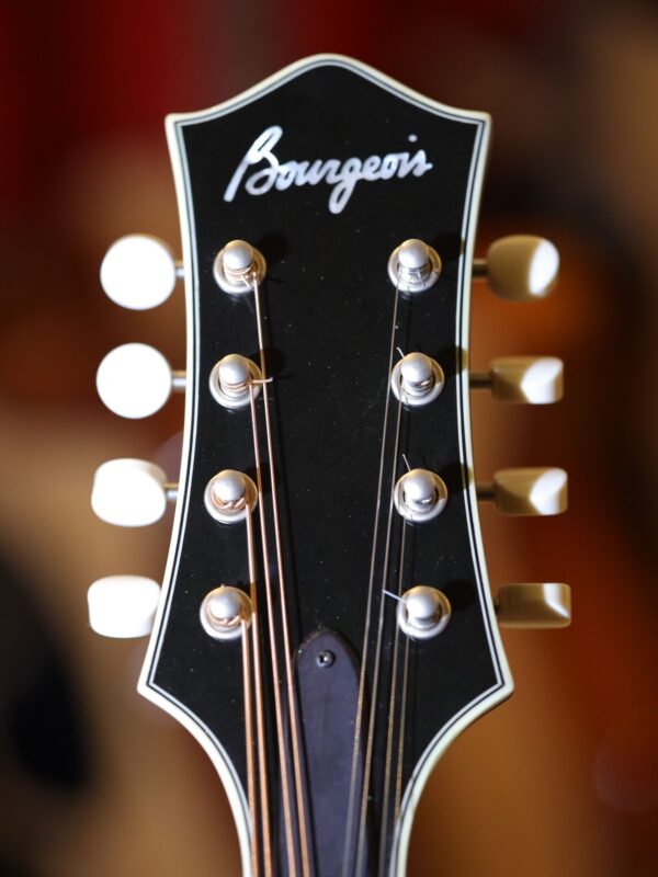 bourgeois touchstone series m5 a mandolin (20)