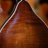 bourgeois touchstone series m5 a mandolin (21)