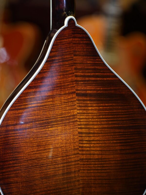 bourgeois touchstone series m5 a mandolin (21)