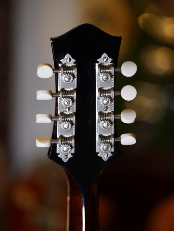 bourgeois touchstone series m5 a mandolin (22)