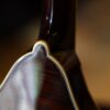 bourgeois touchstone series m5 a mandolin (24)