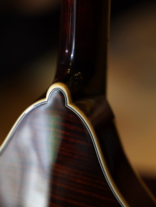 bourgeois touchstone series m5 a mandolin (24)