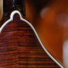 bourgeois touchstone series m5 a mandolin (25)