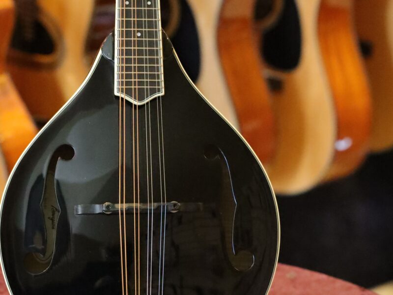 bourgeois touchstone series m5 a mandolin