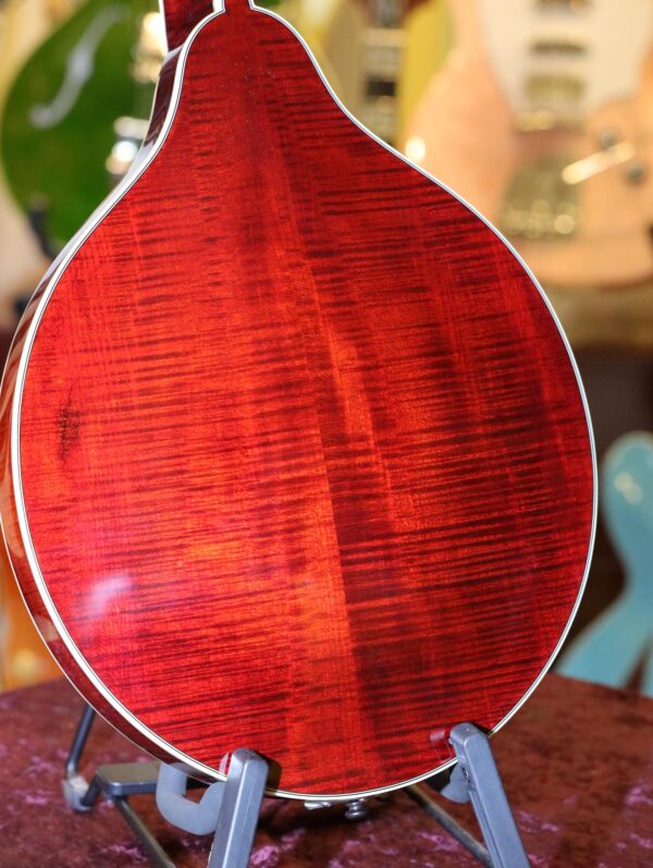bourgeois touchstone series m5a octave mandolin (10)