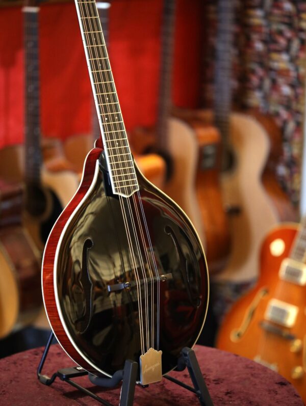 bourgeois touchstone series m5a octave mandolin (2)