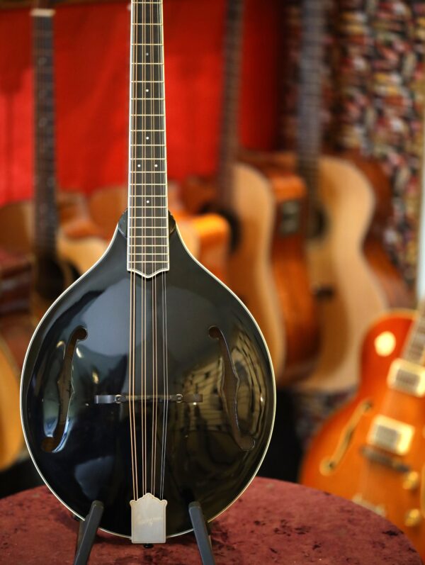 bourgeois touchstone series m5a octave mandolin