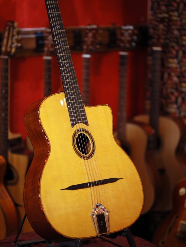 gitane dg 310 lulo reinhardt model (2)