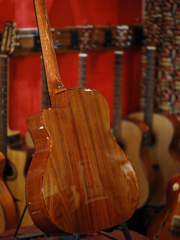 gitane dg 310 lulo reinhardt model (3)