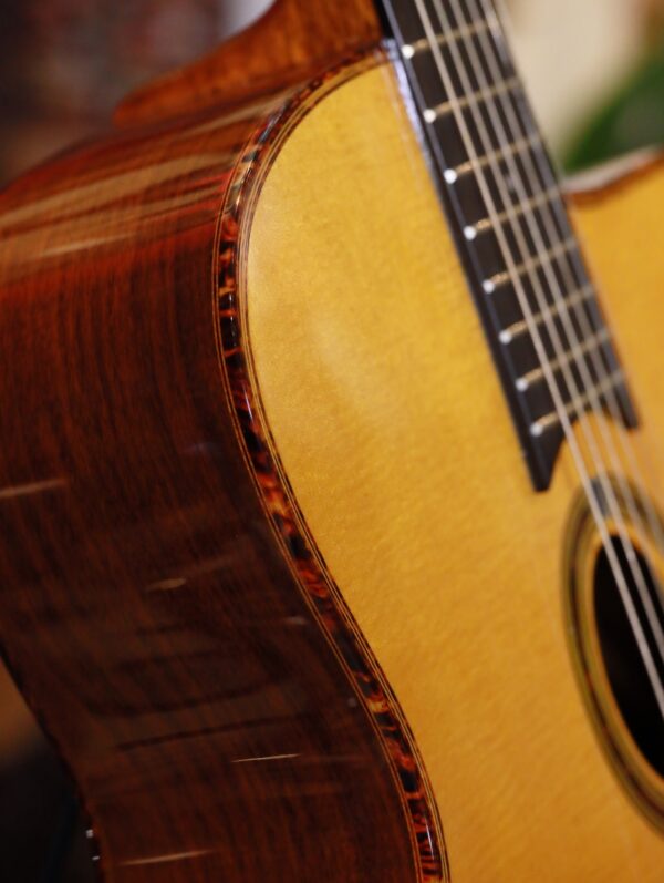 gitane dg 310 lulo reinhardt model (5)