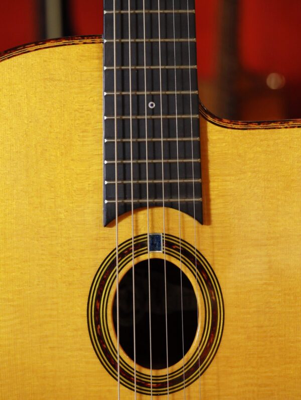 gitane dg 310 lulo reinhardt model (6)