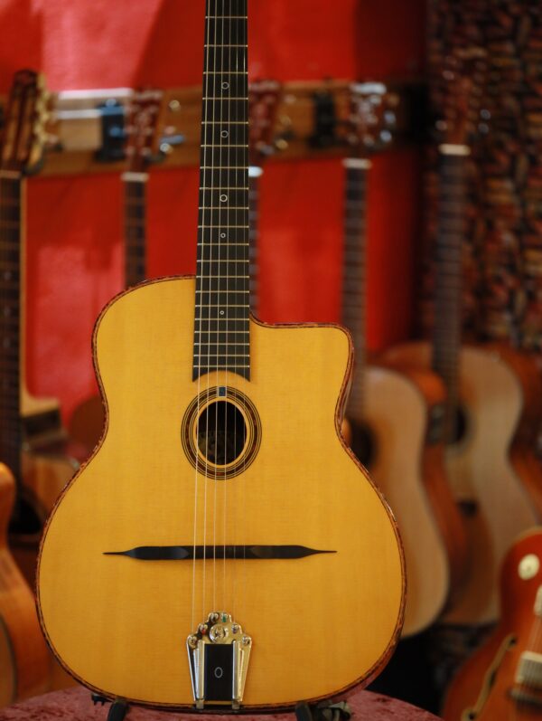 gitane dg 310 lulo reinhardt model