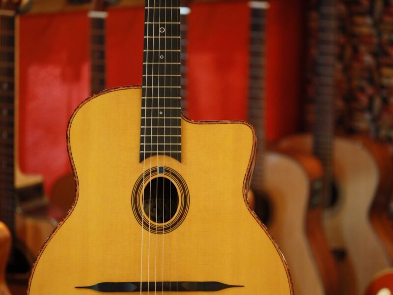 gitane dg 310 lulo reinhardt model