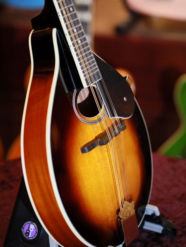 reynolds roundhole mandolin (1)