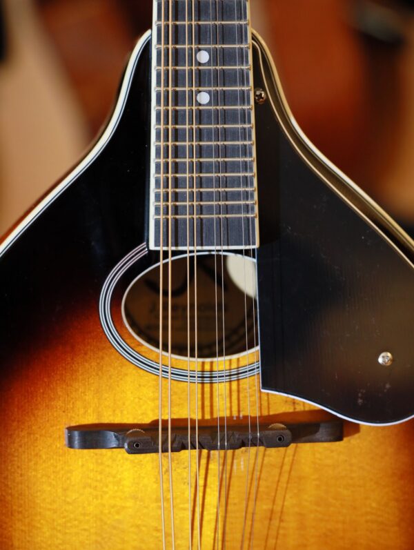 reynolds roundhole mandolin (2)