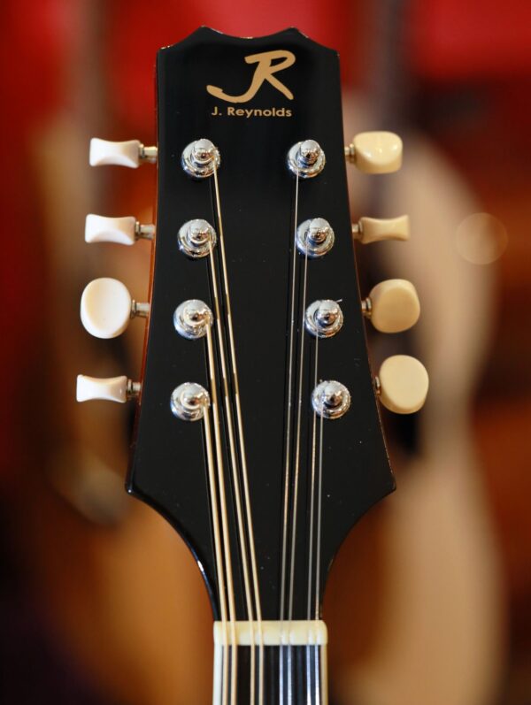 reynolds roundhole mandolin (3)