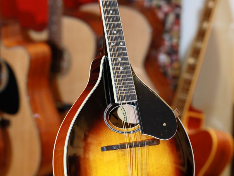 reynolds roundhole mandolin