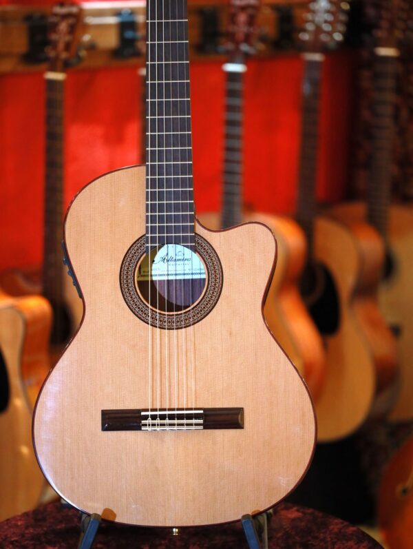 altamira n300ct thinline