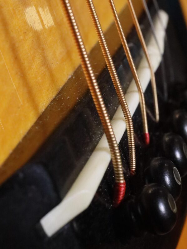 blueridge br 283 brazilian rosewood guitar (10)