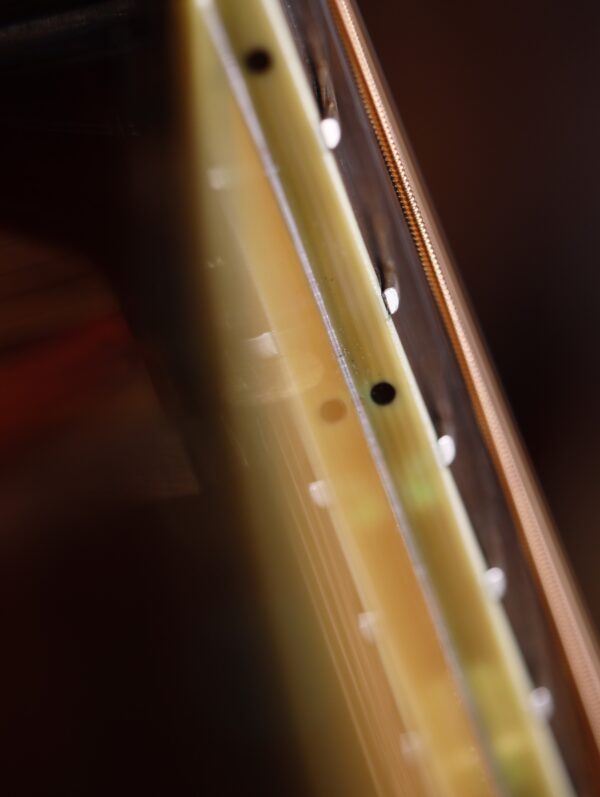 blueridge br 283 brazilian rosewood guitar (9)