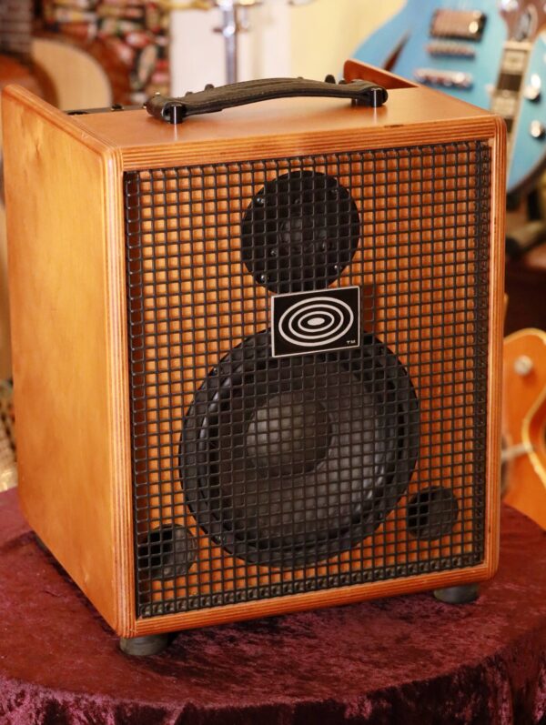 schertler unico classic 200 watt amp (1)