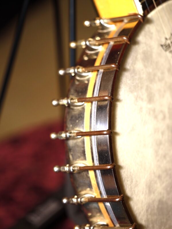 vega whyte laydie banjo (1)